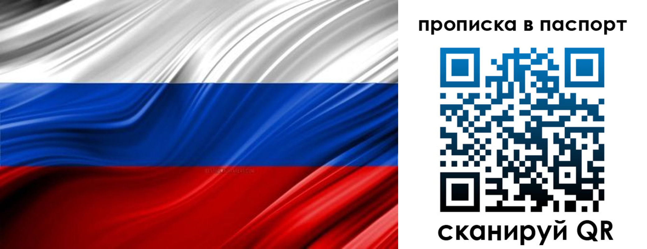 временная регистрация гарантия в Ершове